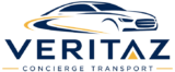 v logo